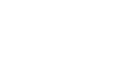 Гуми ACCELERA